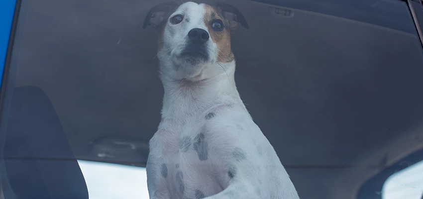 Car Lockout Solutions in Half Moon Bay, California